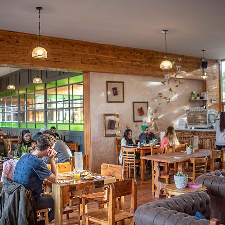Socialtel Bariloche - Formerly Selina Bariloche Экстерьер фото